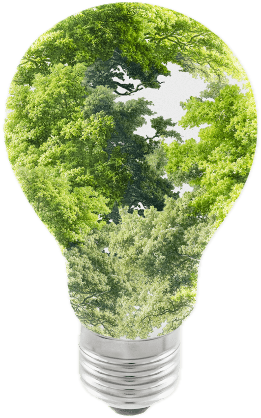 Glühbirne im Wald - Symbol für eine nachhaltige und gesunde Welt